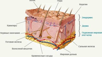Photo of Здоровье кожи: важные советы дерматологов